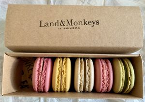 Macarons in Land & Monkeys  at Land & Monkeys - Montmartre in Paris