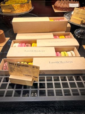   at Land & Monkeys - Montmartre in Paris