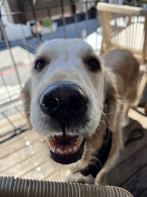   at The Conscious Kitchen - Napier St in Cape Town