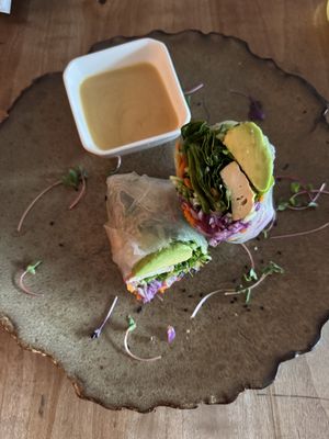 Rainbow Summer Roll  at The Conscious Kitchen - Napier St in Cape Town