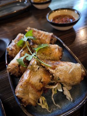 Sajgonki at Metta Vegan in Warsaw