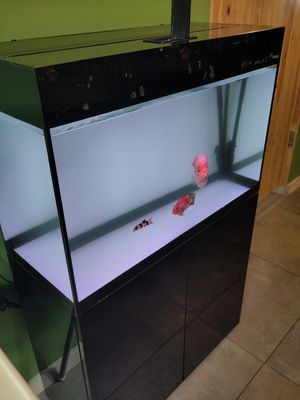  at Metta Vegan in Warsaw