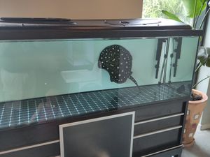  at Metta Vegan in Warsaw