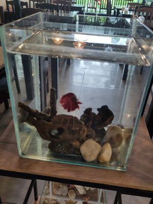  at Metta Vegan in Warsaw