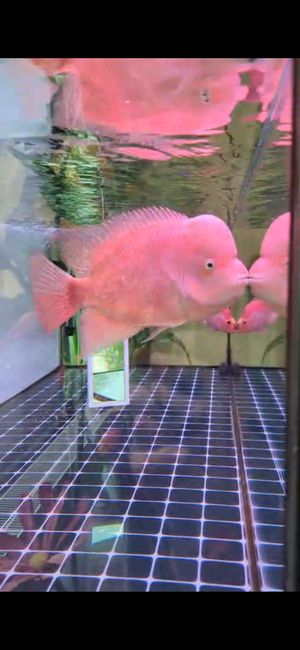  at Metta Vegan in Warsaw