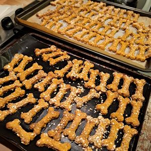 Home made for dogs at Fuel Bowls in Manchester