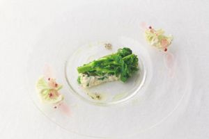 Cold appetizers at G and V in Tokyo