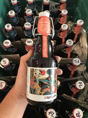 Flavour label of one of our WISE staple flavours, ‘Fiery Lemon & Gingered Turmeric’.  at Wild IS Earth in North West London