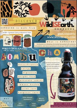 WISE : Wild Is Earth  at Wild IS Earth in North West London