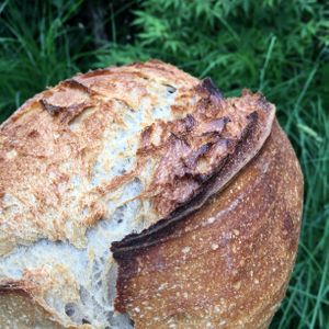 Sourdough bread with the flour of the Vencimont mill. at Bouchéry in Uccle