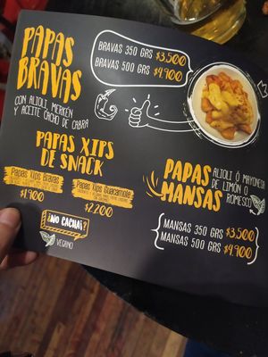 Two options of veg fries at A Mano Gin & Burgers in Vina Del Mar