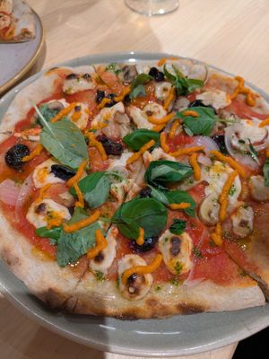  at Domo in Barcelona