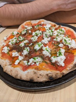  at Domo in Barcelona