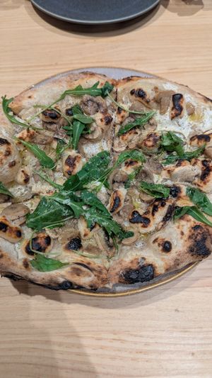 Funghi at Domo in Barcelona