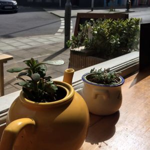 so cute at The Almond Tree in Brighton