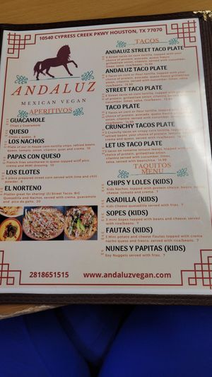  at Andaluz in Houston