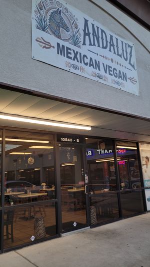  at Andaluz in Houston