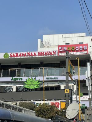 You can see a huge and proud signage saying vegan outside😄  at Saravanaa Bhavan in Seoul