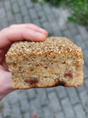  at The Seed in Utrecht