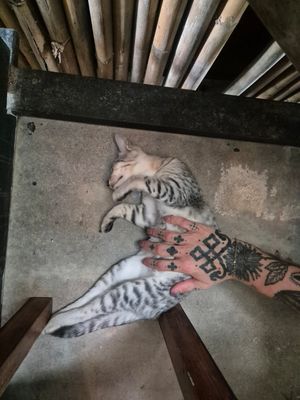  at Chill Out Kohkood in Koh Kut