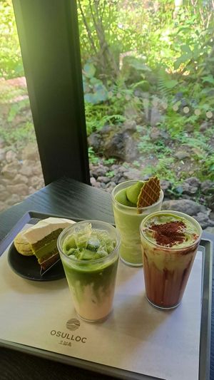  at Osulloc Tea Museum in Jeju