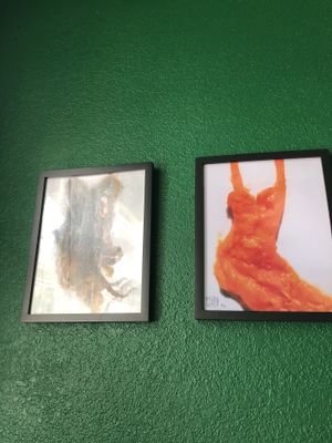 the pictures on the walls are anything but appetizing  at Ittle Litaly in Coral Gables