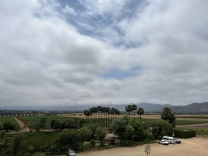   at Monte Xanic in Valle De Guadalupe