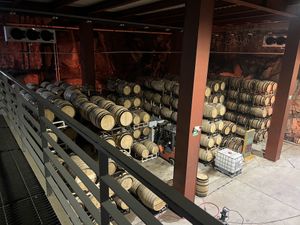   at Monte Xanic in Valle De Guadalupe