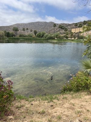   at Monte Xanic in Valle De Guadalupe