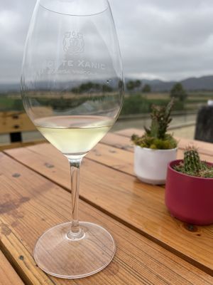   at Monte Xanic in Valle De Guadalupe