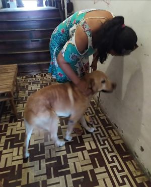 Esse amigo novo mais que amoroso ? at Rango Vegan in Salvador