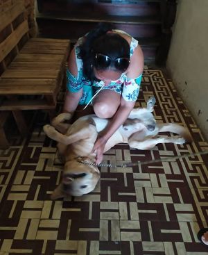  at Rango Vegan in Salvador