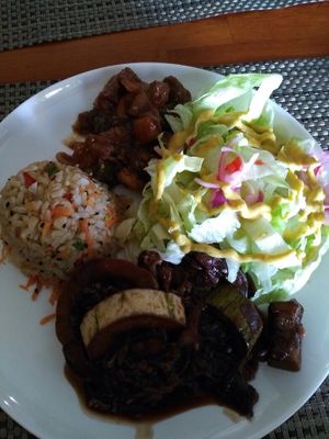 lunch at Rango Vegan in Salvador