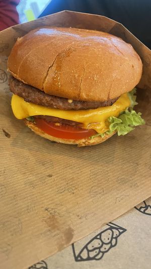   at VINCENT in Munich