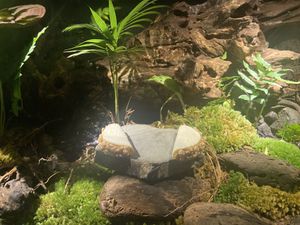   at Locavore NXT in Gianyar