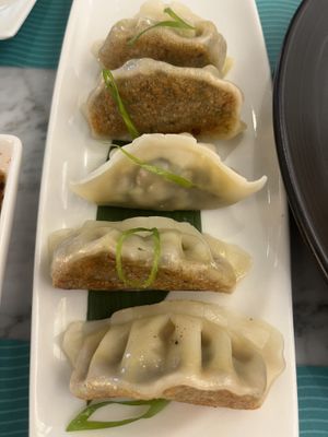 Gyoza  at Sushi Library  in Ras Al Khaimah