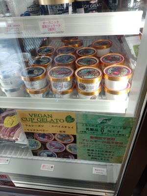 Vegan, local okinawa ice cream at Tenbusu Organic Market  in Naha