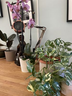   at Spiral in Innsbruck