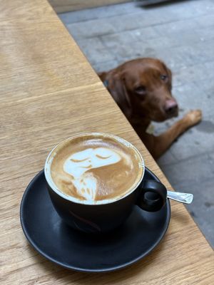   at Spiral in Innsbruck