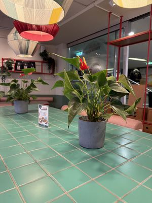 inside  at Kaspar Schmauser  in Berlin