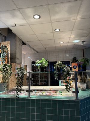 inside  at Kaspar Schmauser  in Berlin