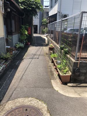 Walk past the white restaurant with sign ‘we are not organic salute’  at Organic House Salute in Kyoto