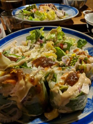 Fresh spring rolls in foreground and "humberg" steak in background. at Organic House Salute in Kyoto