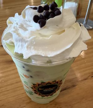 mint chocolate chip shake!  at Bombay Food Junkies in St Louis