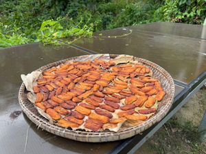  at The Nature Samui in Koh Samui