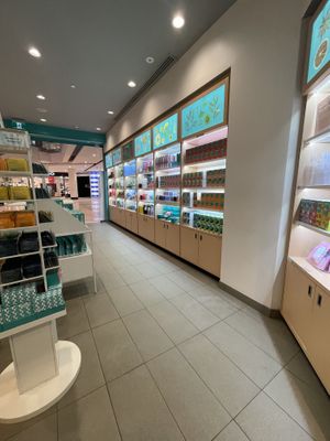   at DAVIDsTEA in Ottawa