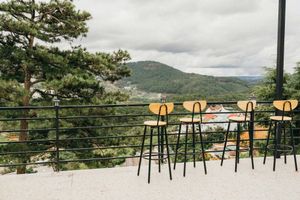 A Peaceful Vegan Homestay & Book Cafe in Dalat, just 2,5 km to the city center💚 at Dalat Harmony Garden in Da Lat