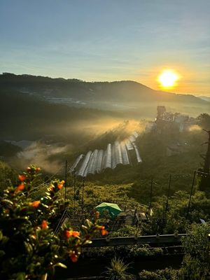  at Dalat Harmony Garden in Da Lat