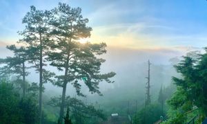  at Dalat Harmony Garden in Da Lat