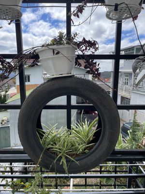   at Dalat Harmony Garden in Da Lat